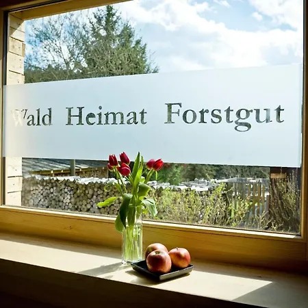 Modernes Holzhaus Mit Sauna, Whirlpool Und Entspannungsraum بيت للعطل