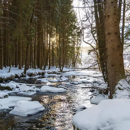 Сasa de vacaciones Modernes Holzhaus Mit Sauna, Whirlpool Und Entspannungsraum